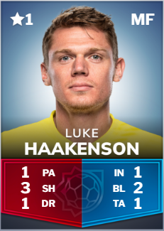 Luke Haakenson - Goals.png
