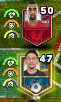 Player Pogs.png