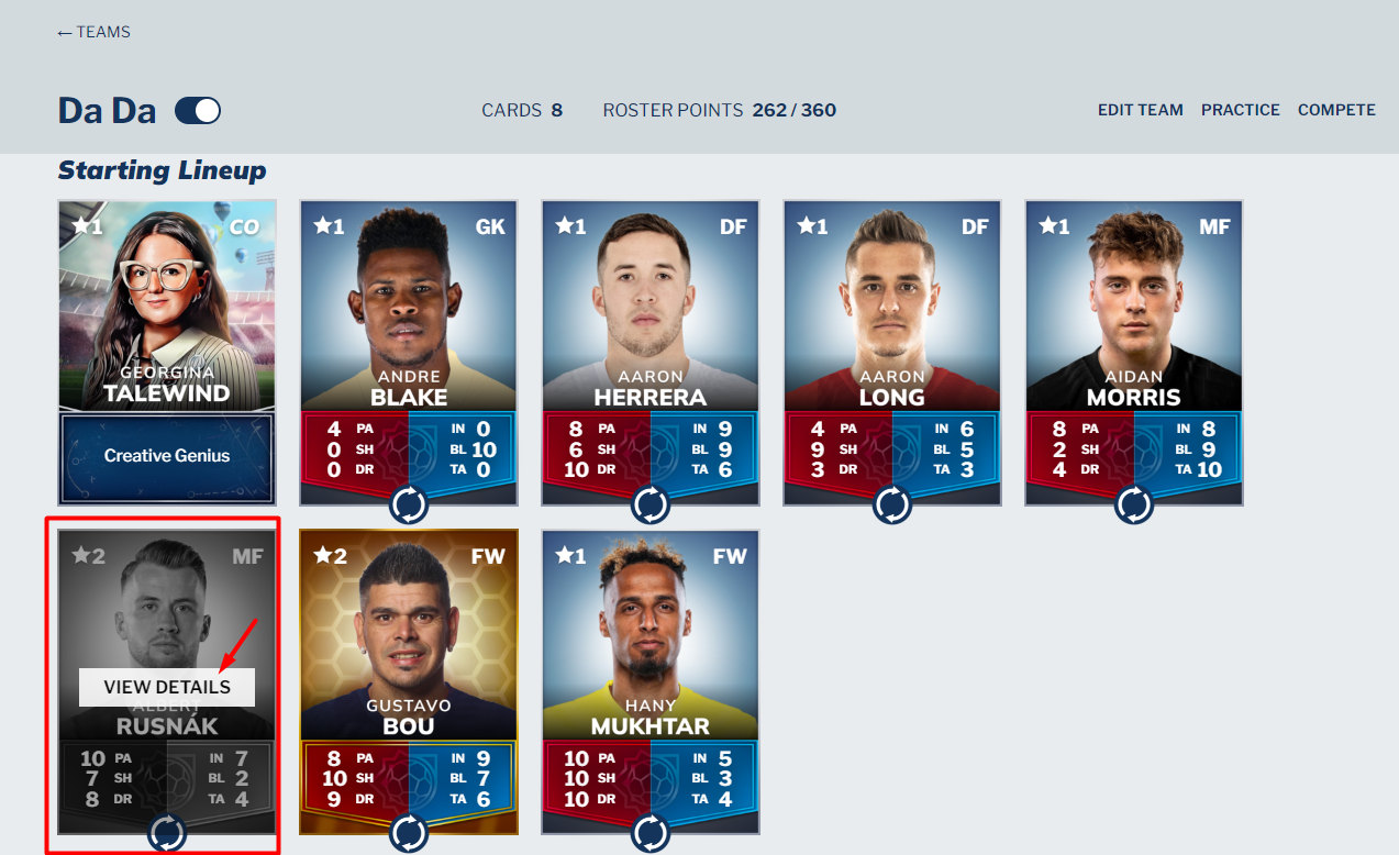 Skills - player in team.png
