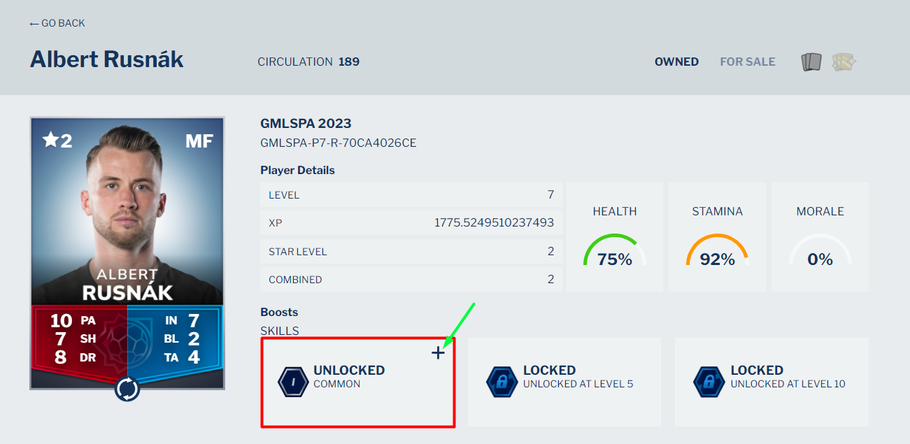 skill - details page skill slot.png